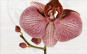 Декор М-Квадрат Fiori орхидея панно 40х75