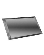 ДСТ (Зеркальная плитка) Прямоугольная Прямоугольная зеркальная графитовая плитка с фацетом 10мм (ПЗГ1-02) 480x120