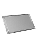 ДСТ (Зеркальная плитка) Прямоугольная Прямоугольная зеркальная серебряная матовая плитка с фацетом 10мм (ПЗСм1-02) 480x120