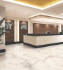 Керамогранит ROYAL ONYX  SATIN 600X600