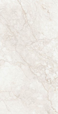 Керамогранит арт. DX126009M 60х120 матовый рельефный