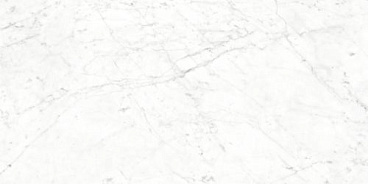 Carrara Bianco Glossy 60x120