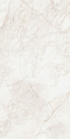 Керамогранит арт. DX126009M 60х120 матовый рельефный