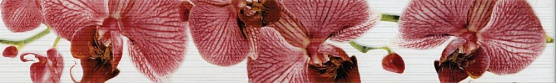 Бордюр М-Квадрат Fiori орхидея 6х40