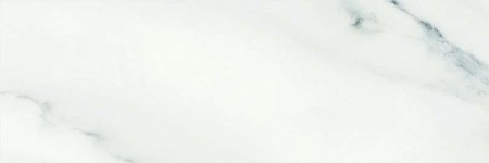 ATHENEA RECT. 33.3x100